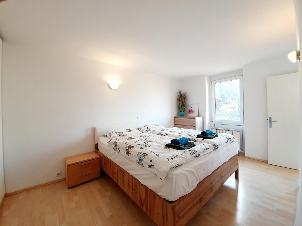 Bossa Nova Castle&outstanding With Garage Apartma Ljubljana