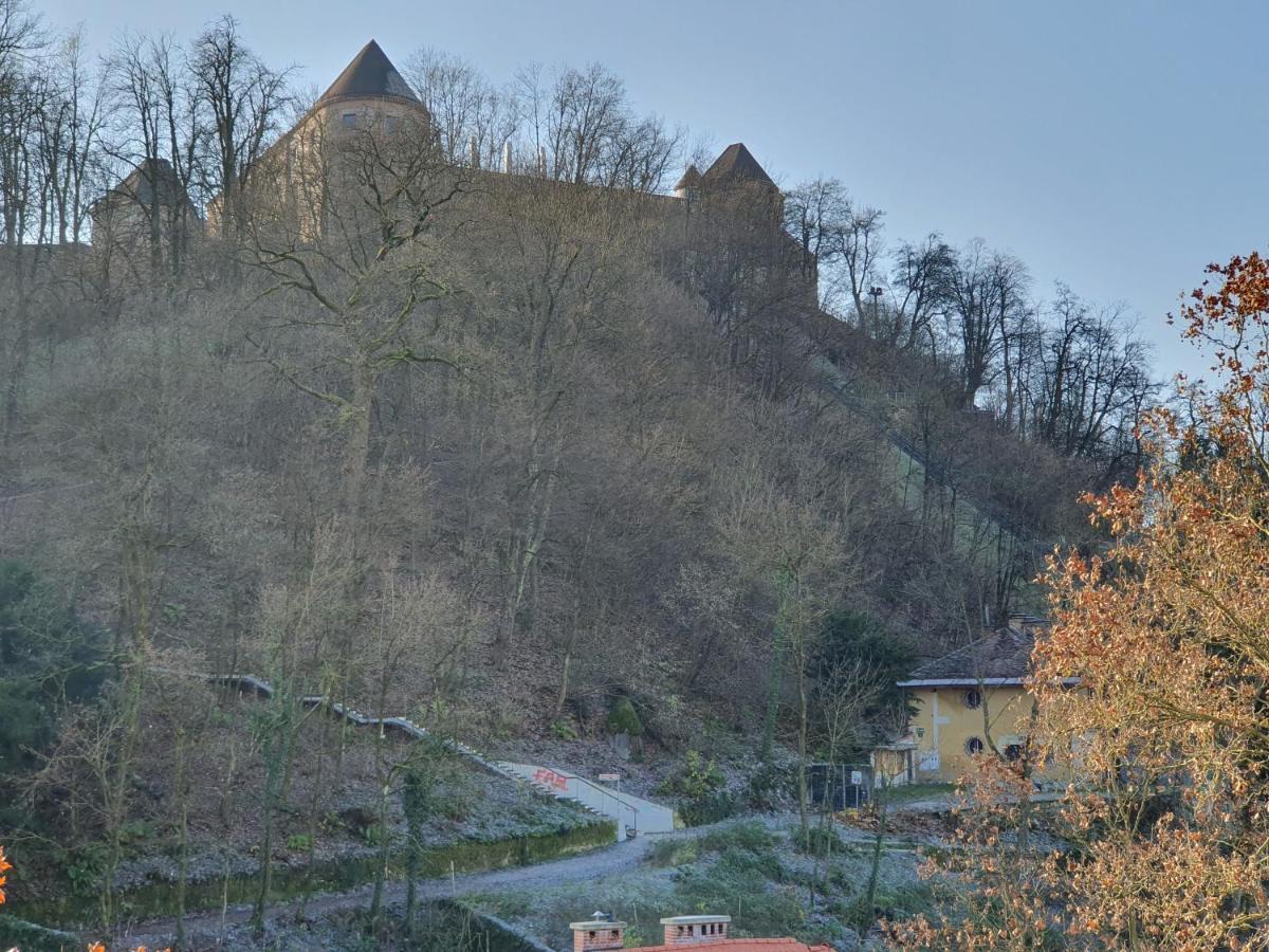 Bossa Nova Castle&outstanding With Garage Apartma Ljubljana